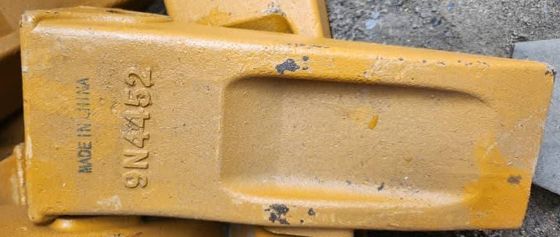 أسنان الشركة المصنعة الأصلية للقطط